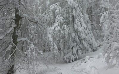 L’hiver vient, la France privée d’électricité ?