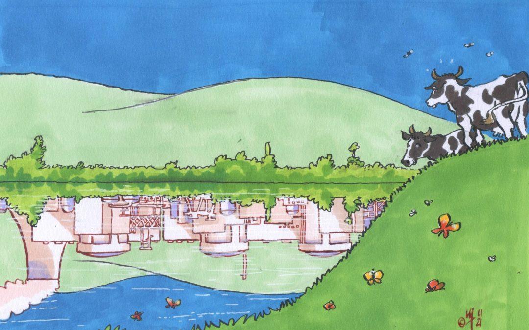 Le démantèlement des centrales nucléaires françaises REP