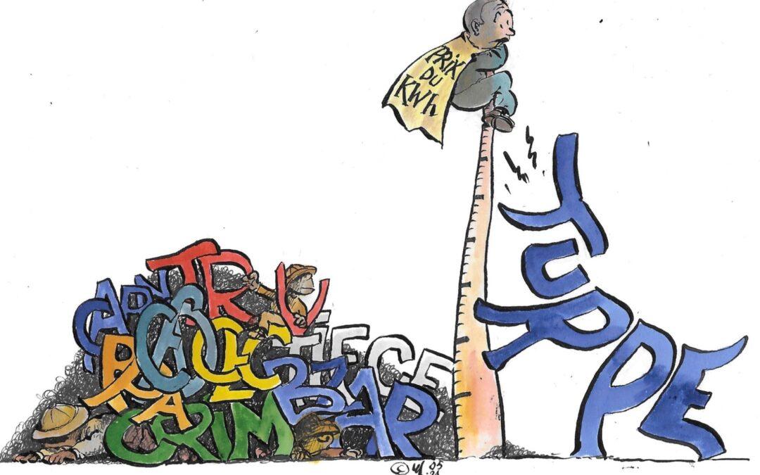 Réforme du marché de l’électricité : comprendre pour agir !