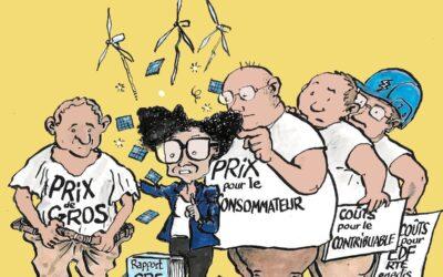 Memento d’alerte de PNC-France : analyse du rapport de la CRE sur l’économie du système électrique